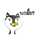 Bored Husky（個別スタンプ：3）