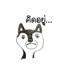 Bored Husky（個別スタンプ：6）