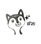 Bored Husky（個別スタンプ：13）