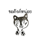 Bored Husky（個別スタンプ：15）