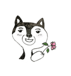 Bored Husky（個別スタンプ：20）