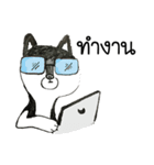 Bored Husky（個別スタンプ：21）