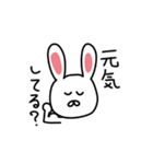 毎日使えるうさぎ（個別スタンプ：3）
