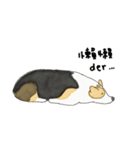 Lasutung wanna veg all life.（個別スタンプ：13）