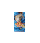 Guineapig-big eyes（個別スタンプ：17）