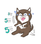 2 dog and the beautiful（個別スタンプ：3）
