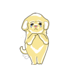 2 dog and the beautiful（個別スタンプ：17）