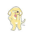 2 dog and the beautiful（個別スタンプ：29）