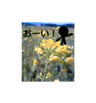 素敵な写真と日常言葉.2（個別スタンプ：4）