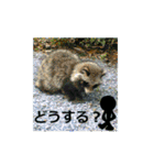 素敵な写真と日常言葉.2（個別スタンプ：8）