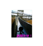 素敵な写真と日常言葉.2（個別スタンプ：11）