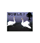 素敵な写真と日常言葉.2（個別スタンプ：20）