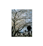 素敵な写真と日常言葉.2（個別スタンプ：27）