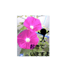 素敵な写真と日常言葉.2（個別スタンプ：30）