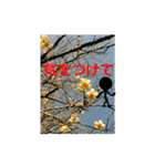 素敵な写真と日常言葉.2（個別スタンプ：33）