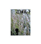 素敵な写真と日常言葉.2（個別スタンプ：38）