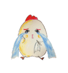 chicken chic chic 1（個別スタンプ：6）