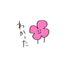 kinese collection sticker（個別スタンプ：36）