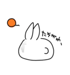 はくうさ（個別スタンプ：36）