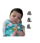 Healing articles（個別スタンプ：11）