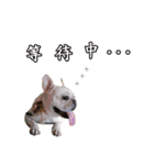 Healing articles（個別スタンプ：15）