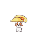 Popo the stupid dog（個別スタンプ：22）