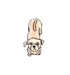 Popo the stupid dog（個別スタンプ：32）