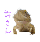 フトアゴ 部長（個別スタンプ：18）