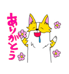 コーギー犬チャオズ（個別スタンプ：1）