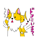 コーギー犬チャオズ（個別スタンプ：16）