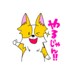 コーギー犬チャオズ（個別スタンプ：22）