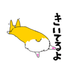 コーギー犬チャオズ（個別スタンプ：24）