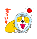 コーギー犬チャオズ（個別スタンプ：31）