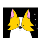 コーギー犬チャオズ（個別スタンプ：34）