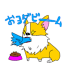 コーギー犬チャオズ（個別スタンプ：35）