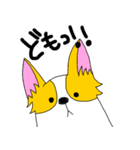 コーギー犬チャオズ（個別スタンプ：37）