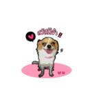 Puppy Munny（個別スタンプ：1）