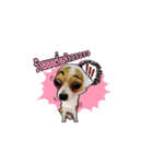 Puppy Munny（個別スタンプ：2）