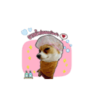 Puppy Munny（個別スタンプ：5）