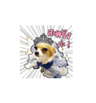 Puppy Munny（個別スタンプ：6）