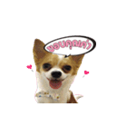 Puppy Munny（個別スタンプ：15）