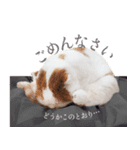 ブリスコスタンプ（個別スタンプ：3）