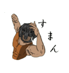 アニマッスル（個別スタンプ：6）