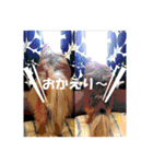 HEBOCHANS 公式スタンプ【よく使う言葉編】（個別スタンプ：3）