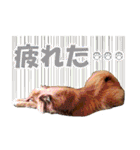 HEBOCHANS 公式スタンプ【よく使う言葉編】（個別スタンプ：15）