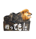 HEBOCHANS 公式スタンプ【よく使う言葉編】（個別スタンプ：18）