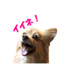 HEBOCHANS 公式スタンプ【よく使う言葉編】（個別スタンプ：21）