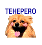 HEBOCHANS 公式スタンプ【よく使う言葉編】（個別スタンプ：23）