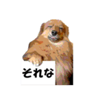 HEBOCHANS 公式スタンプ【よく使う言葉編】（個別スタンプ：34）