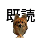 HEBOCHANS 公式スタンプ【よく使う言葉編】（個別スタンプ：35）